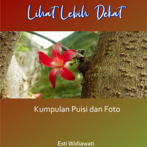 Lihat Lebih Dekat (kumpulan puisi dan foto)